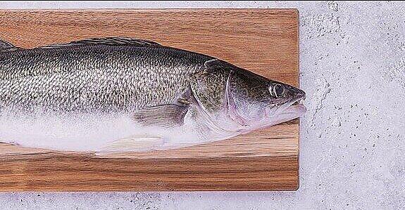 Fischzucht-in-Ulrichsberg-mit-prominenten-Investoren
