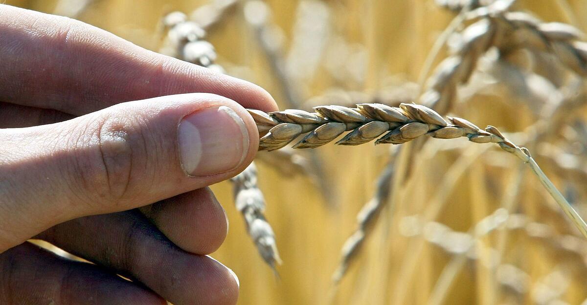 Warm Atlantic triggers hot summer: It's set to happen again this year