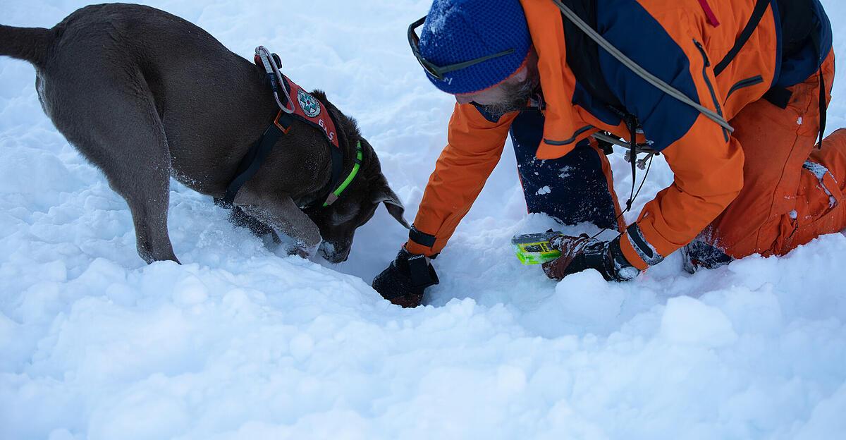 21-j-hriger-in-der-steiermark-von-lawine-get-tet