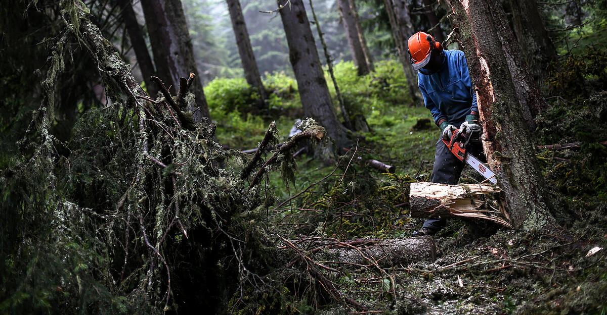 Zweiter-t-dlicher-Forstunfall-Landwirt-51-in-Kopfing-von-Baum-erschlagen