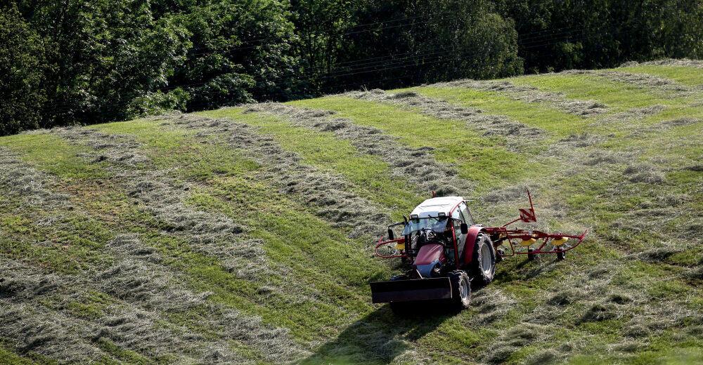 Trockener Sommer, knappes Heu: Das Betrugsgeschäft mit Futtermitteln