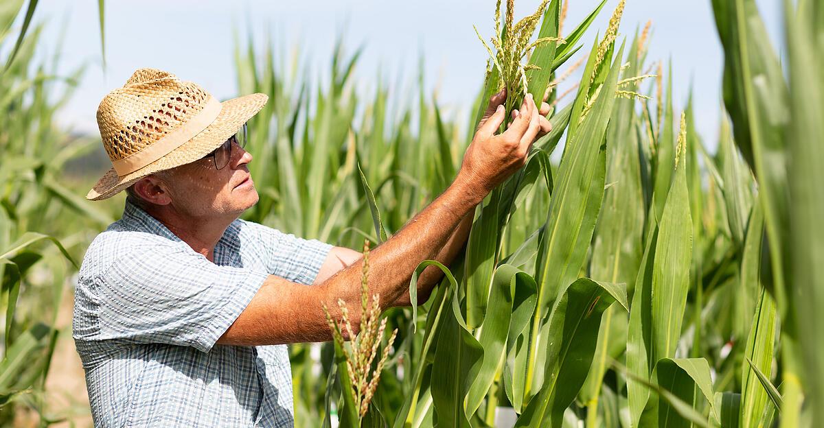 -Ohne-Saatbau-keine-funktionierende-Landwirtschaft-