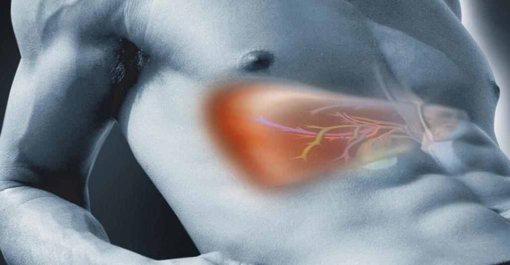 cholesterin-diabetes-und-niereninsuffizienz-die-kranke-leber-als-stille-gefahr