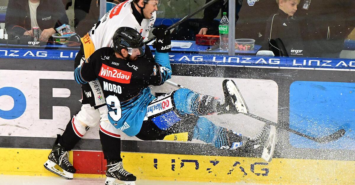 Black-Wings-geben-Neuzugang-und-Vertragsverl-ngerung-bekannt