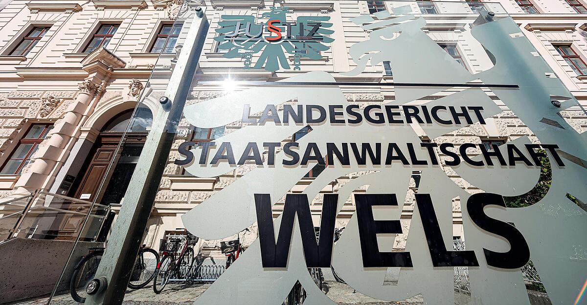 Trial after car rampage in Wels: These were the closing arguments