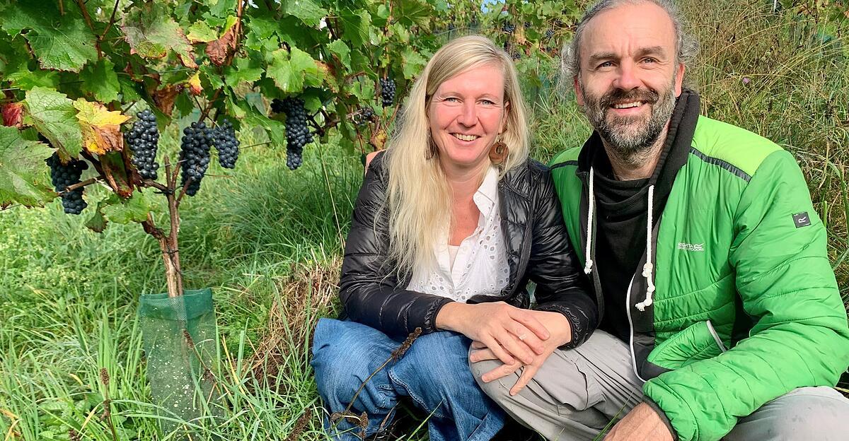 Im-Almtal-wird-nach-langer-Zeit-wieder-Wein-angebaut