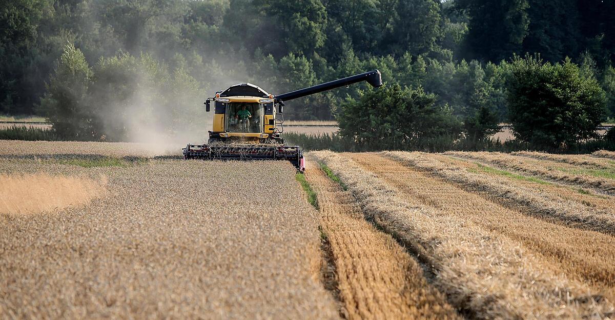 -Zu-den-aktuellen-Preisen-k-nnen-wir-in-sterreich-kein-Getreide-produzieren-