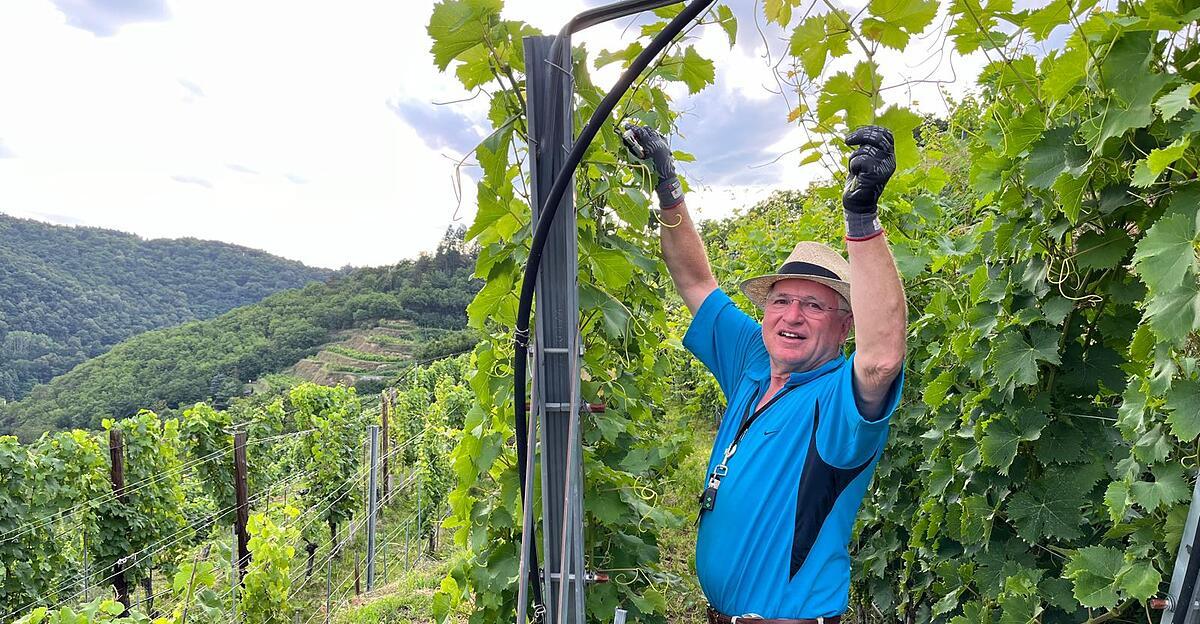 Sommelier-Hans-Stoll-Ich-hatte-Bammel-