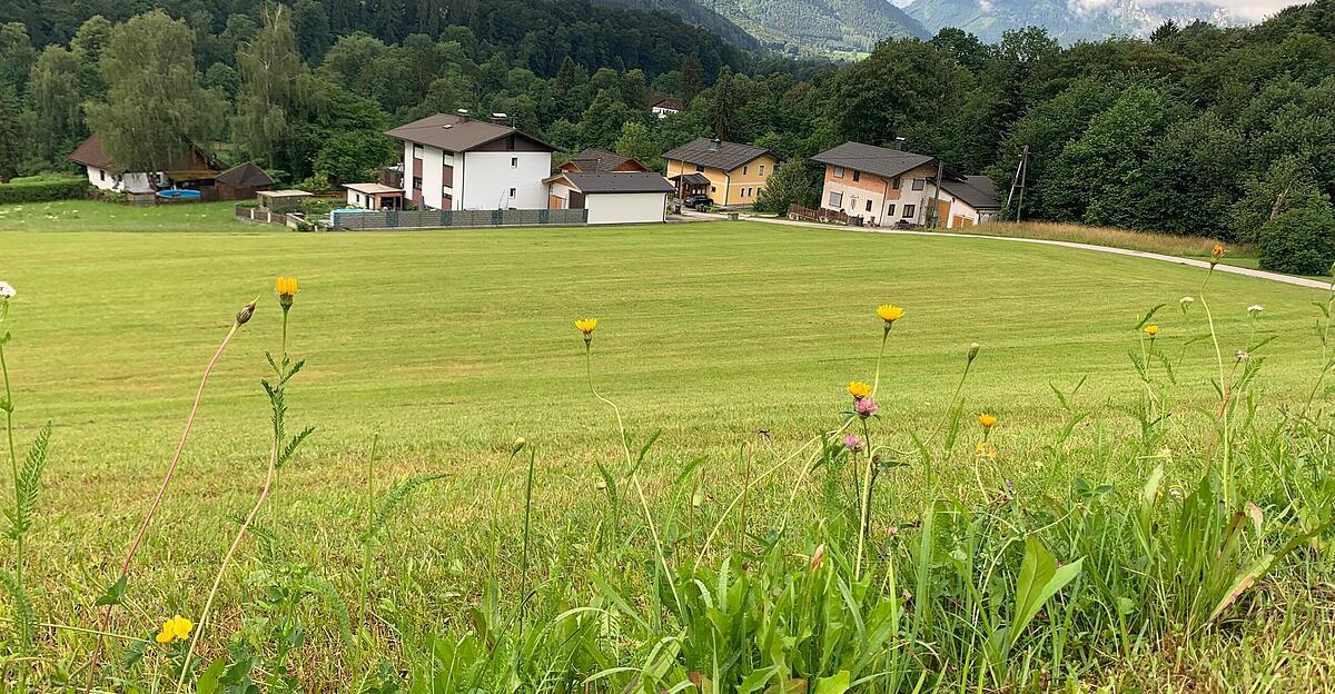 Der Widmungsstreit in Scharnstein ist endgültig Geschichte