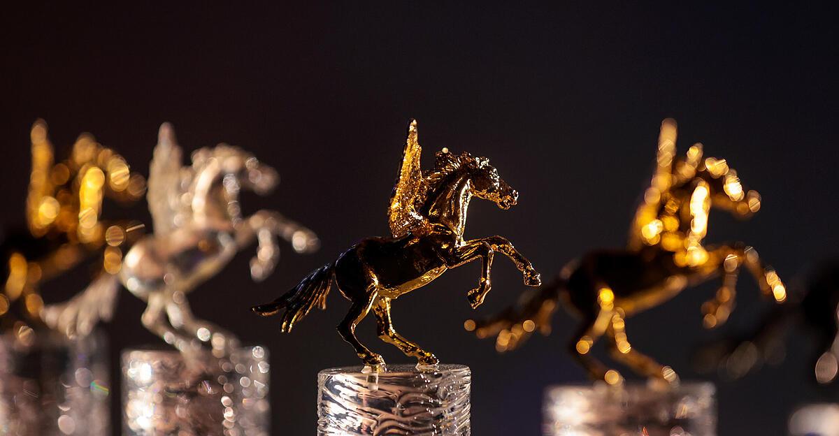 Pegasus-Bewerber: Von Sicherheitsschuhen bis zu Insektenfarmen