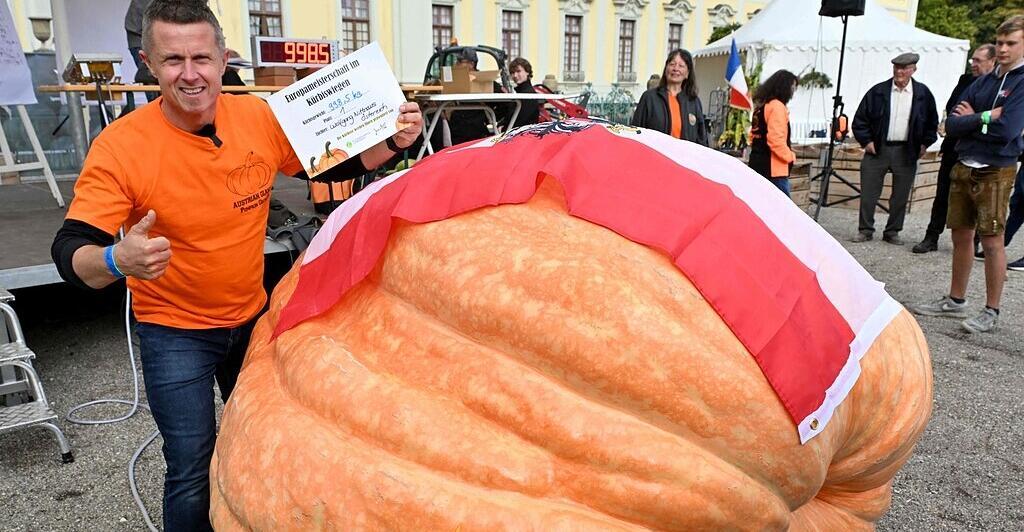 998-5-Kilo-Europas-schwerster-K-rbis-kommt-aus-sterreich