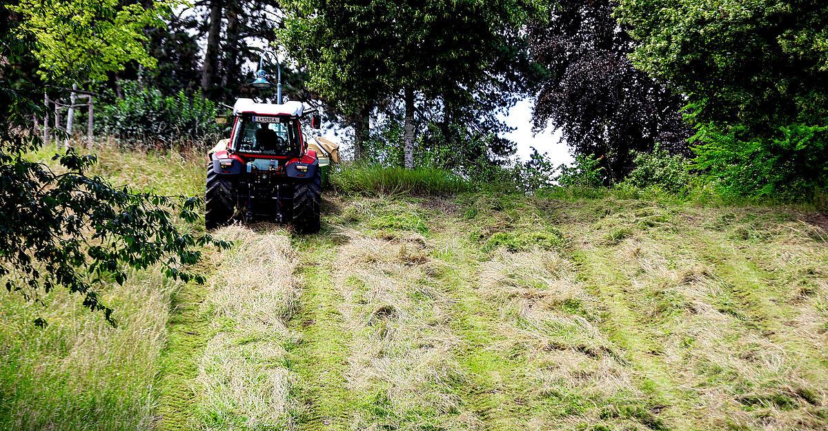69-j-hriger-Steirer-erlitt-bei-Arbeitsunfall-t-dliche-Kopfverletzungen