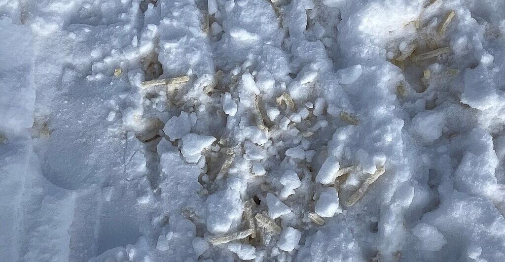 Kurioser-Fund-Pommes-im-Schnee-nahe-H-ss-Speichersee-entdeckt