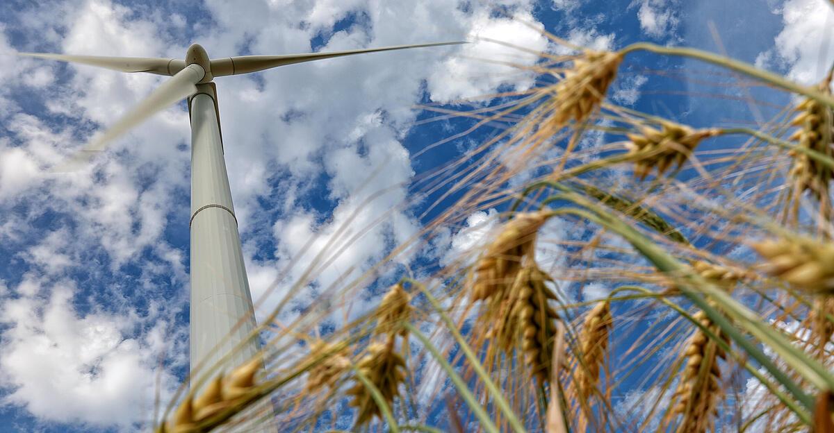 Windkraft-Pr-fung-zu-Sternwald-sieht-keine-zwingenden-Gr-nde-gegen-Beschleunigungszone