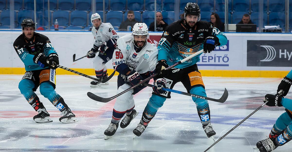 Ab-16-Uhr-live-Black-Wings-treffen-ausw-rts-auf-Fehervar-AV19