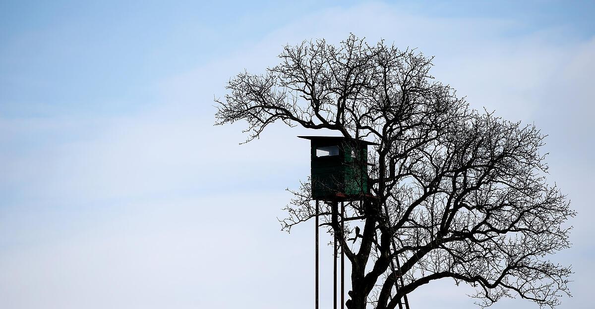 Hochrangiger-Armeeoffizier-im-Ruhestand-erschoss-Border-Collie