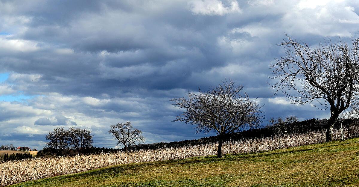 Wetter-in-sterreich-wird-unbest-ndiger-und-k-hler
