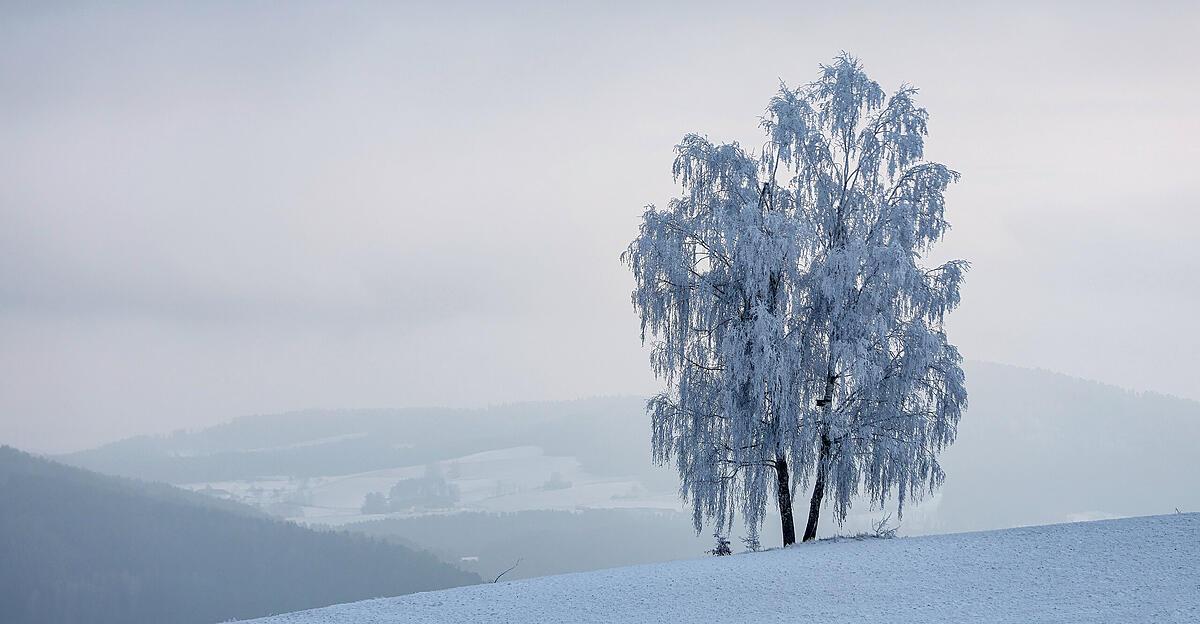 Wettervorschau-Dauerfrost-mit-etwas-Schneefall-zur-Wochenmitte