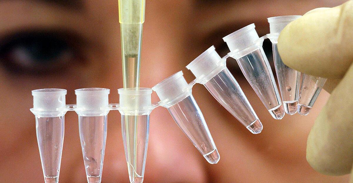 festnahme-nach-mord-an-touristin-vor-fast-32-jahren