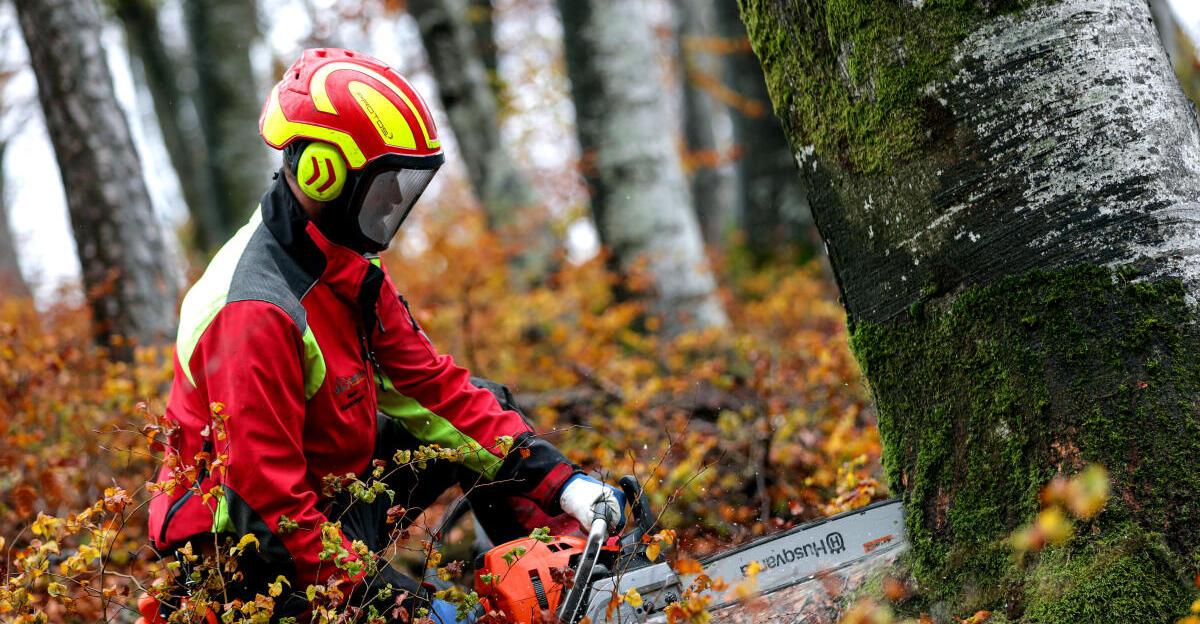 Schwieriger-Einsatz-nach-Forstunfall-Sehen-Hof-vom-Feuerwehrhaus-