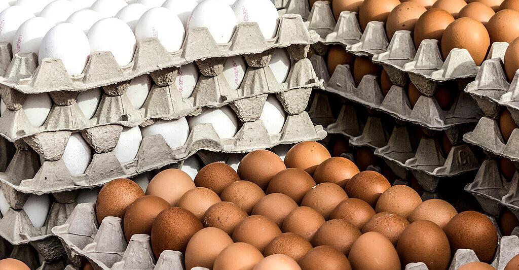 Eier-sind-weiter-knapp-n-chstes-Jahr-soll-sich-die-Versorgungslage-bessern