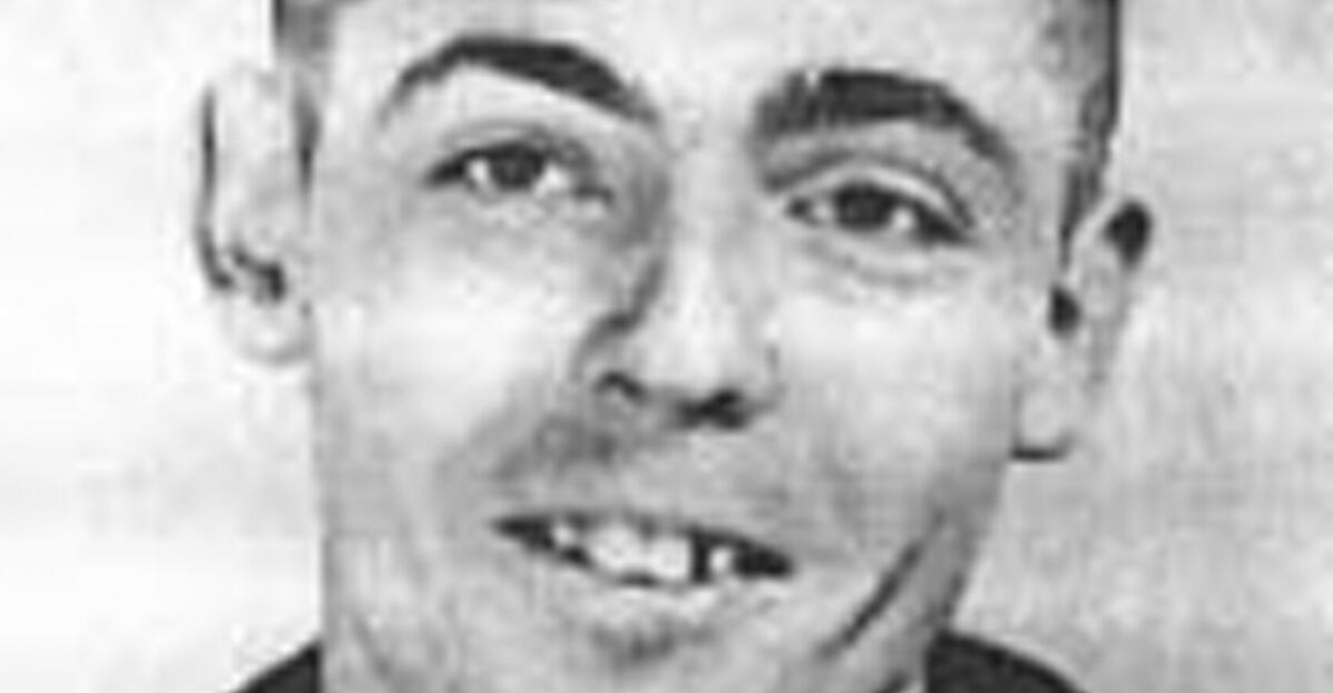 Der-neue-Roman-von-Thomas-Pynchon-Wenn-Hicks-McTaggart-den-Al-Capone-des-K-ses-jagt