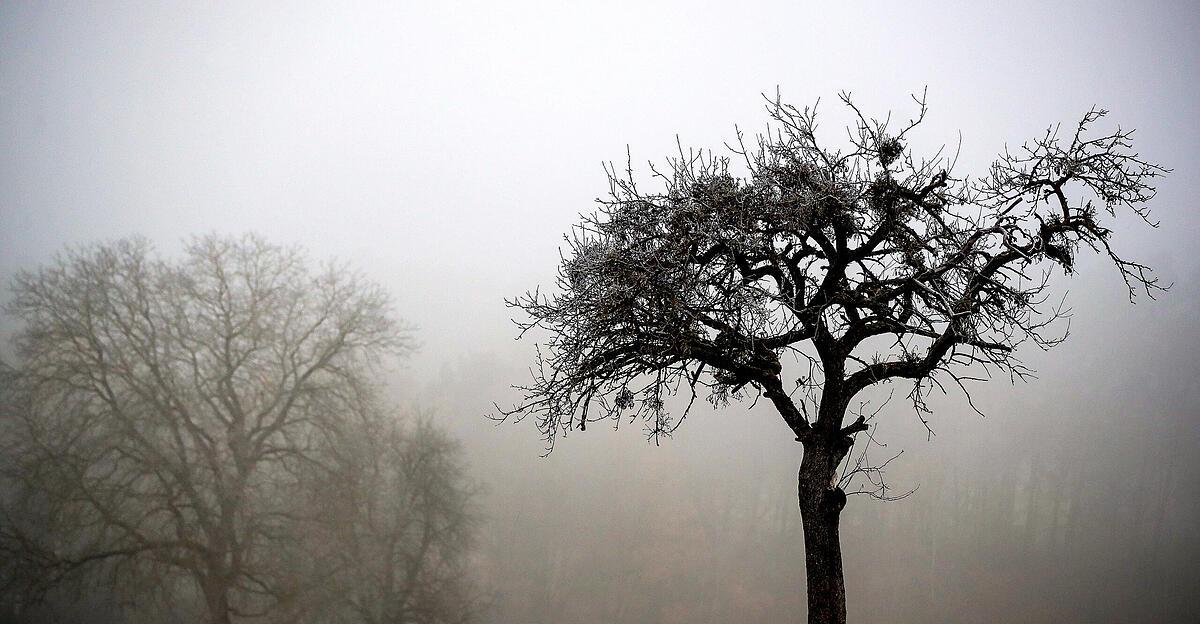 Tr-bster-Februar-seit-acht-Jahren-Ober-sterreichischer-Zentralraum-besonders-sonnenarm