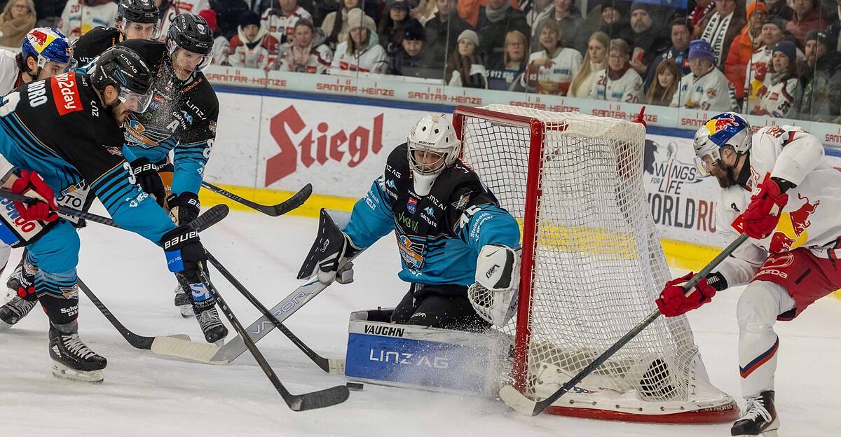 Martin-Reder-steigt-bei-den-Black-Wings-zum-2er-Goalie-auf
