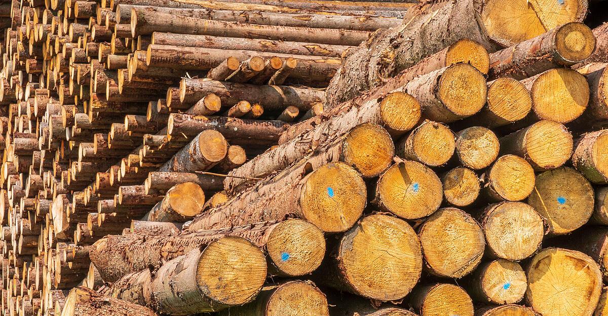 Industrie du bois : baisse massive de la production en 2023 |  Nachrichten.at