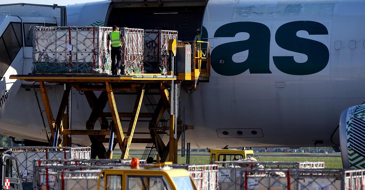 Ministerium stoppt Rindertransporte über den Flughafen Linz