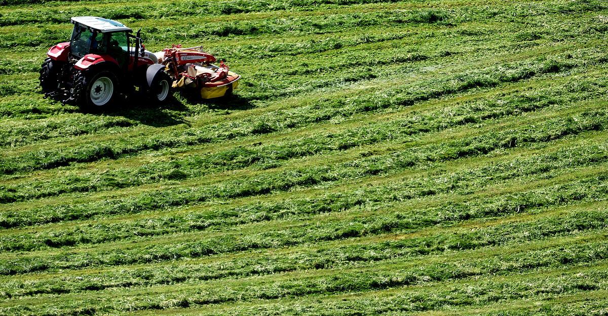 eu-agrarminister-diskutieren-ber-d-ngemittelpreise