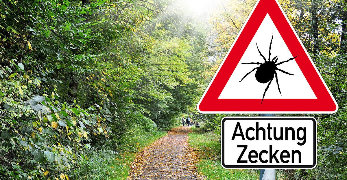 Zecken-stille-Gefahr-f-r-Haustiere