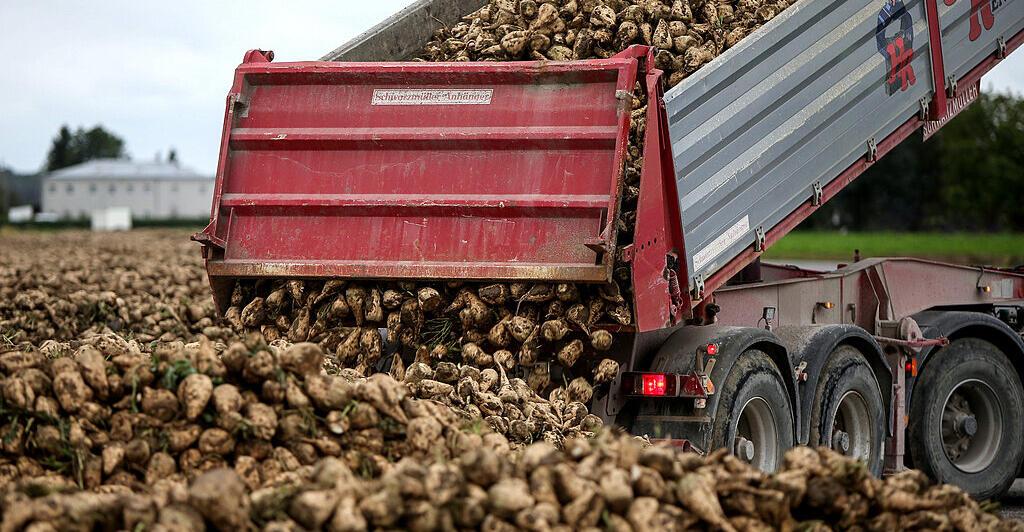 Ukraine-Zuckerquoten-Provokation-f-r-sterreichische-R-benbauern-