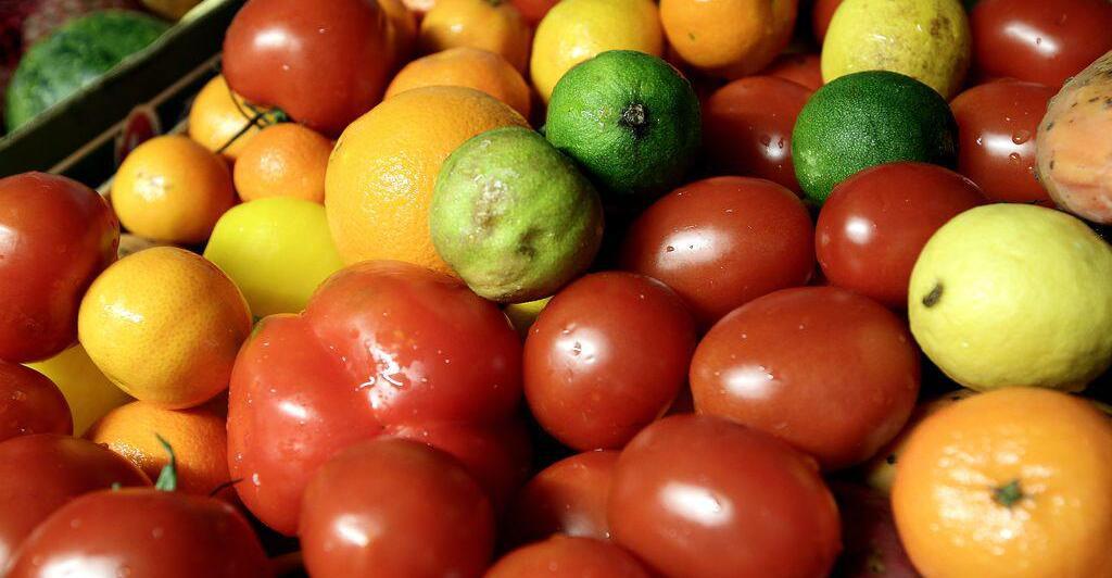 Tafel-sterreich-verteilte-2025-rund-1500-Tonnen-Lebensmittel