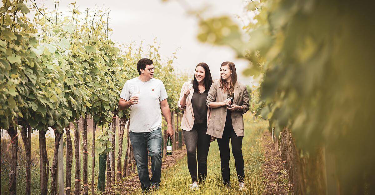 Wein-Wissen-Doppelsieger-Schreibeis