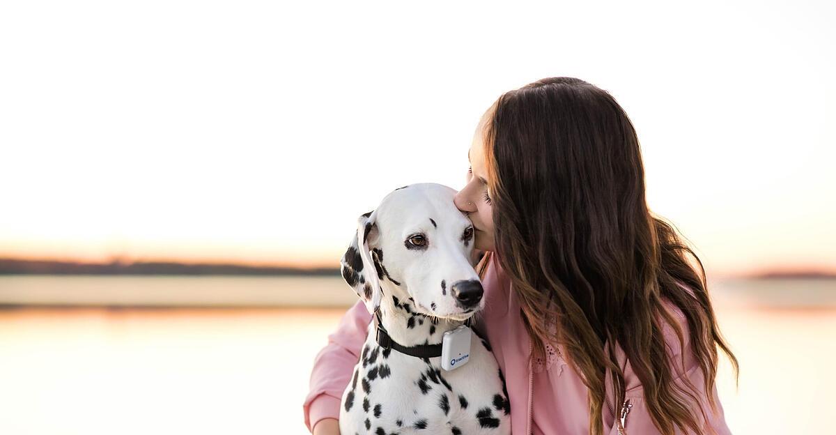Auf-Runtastics-Spuren-Tractive-aus-Pasching-wird-um-Millionenbetrag-verkauft