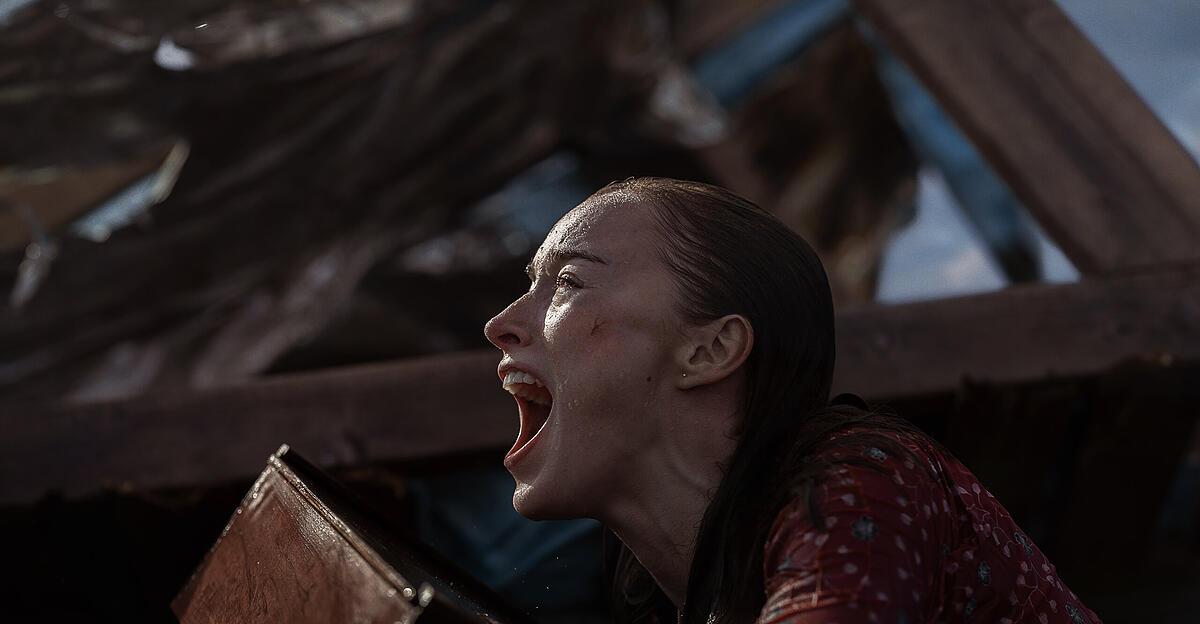 Blick-ins-Kastl-Haie-in-der-Stadt