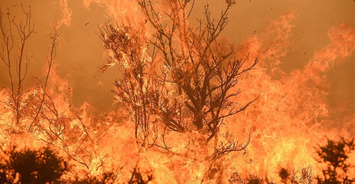 La Sardaigne continue de lutter contre de graves incendies