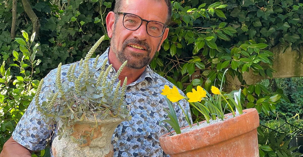 Saisonstart-Das-sind-die-neuesen-Pflanzentrends