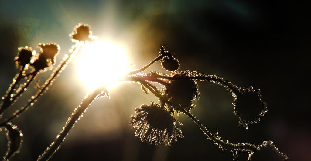 sonne-bis-mittwoch-so-wird-das-wetter-in-der-kommenden-woche