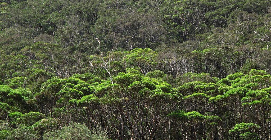 nur-zwei-m-sliriegel-gegessen-wanderer-nach-13-tagen-lebend-in-australien-entdeckt