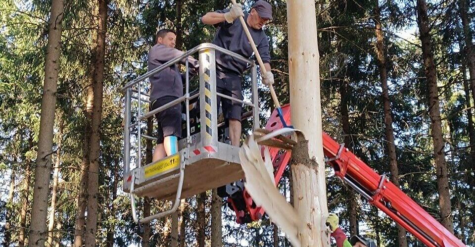 Sipbachzeller-berlisten-Maibaumdiebe-Baum-wurde-nicht-geschnitten-sondern-im-Wald-entrindet