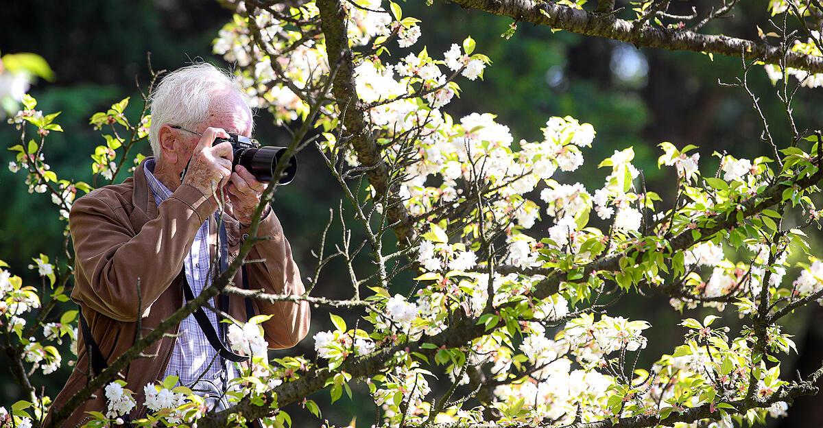 Le Jardin Botanique reste un pôle d’attraction pour les visiteurs |  Nachrichten.at