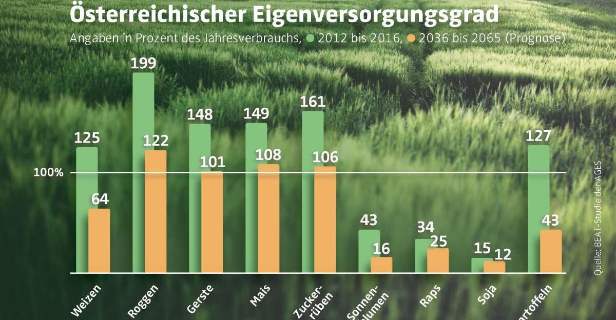 Erd-pfel-Blues-Die-Eigenversorgung-in-Gefahr