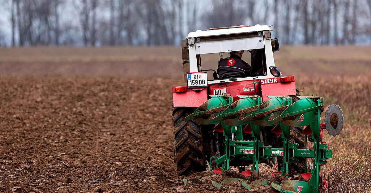 Des milliards de chiffre d’affaires : les coopératives de Haute-Autriche défient la crise