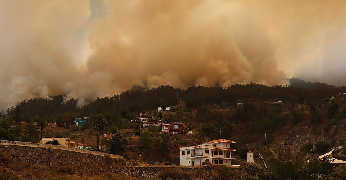 Feu de forêt à La Palma : 4 500 hectares brûlés