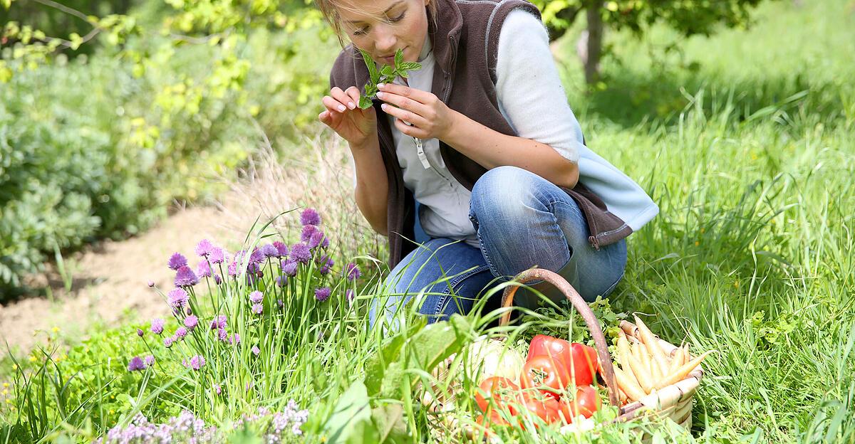 Which garden type am I?  |  News.at