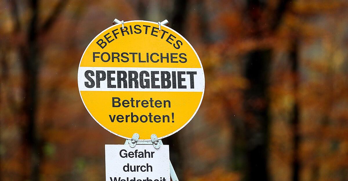 55-j-hriger-bei-forstarbeiten-in-michaelnbach-von-baum-getroffen-und-verletzt