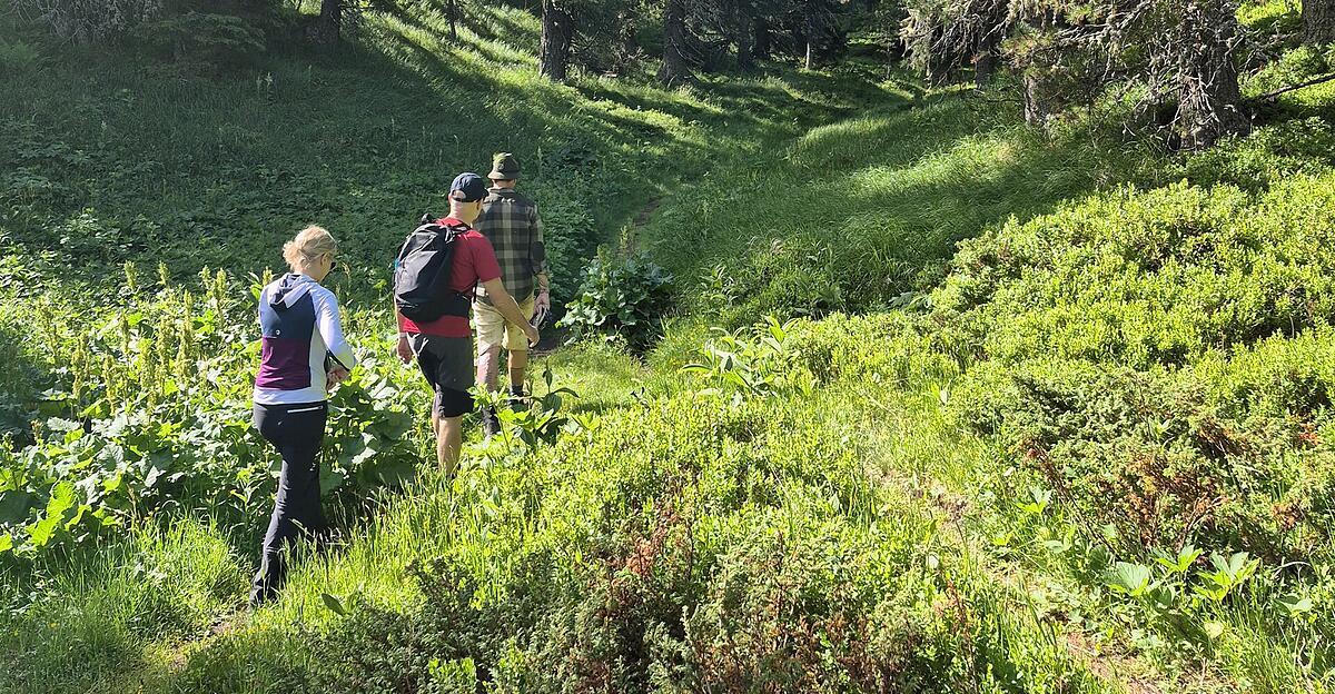 Sommerfrische-auf-der-Turracher-H-he