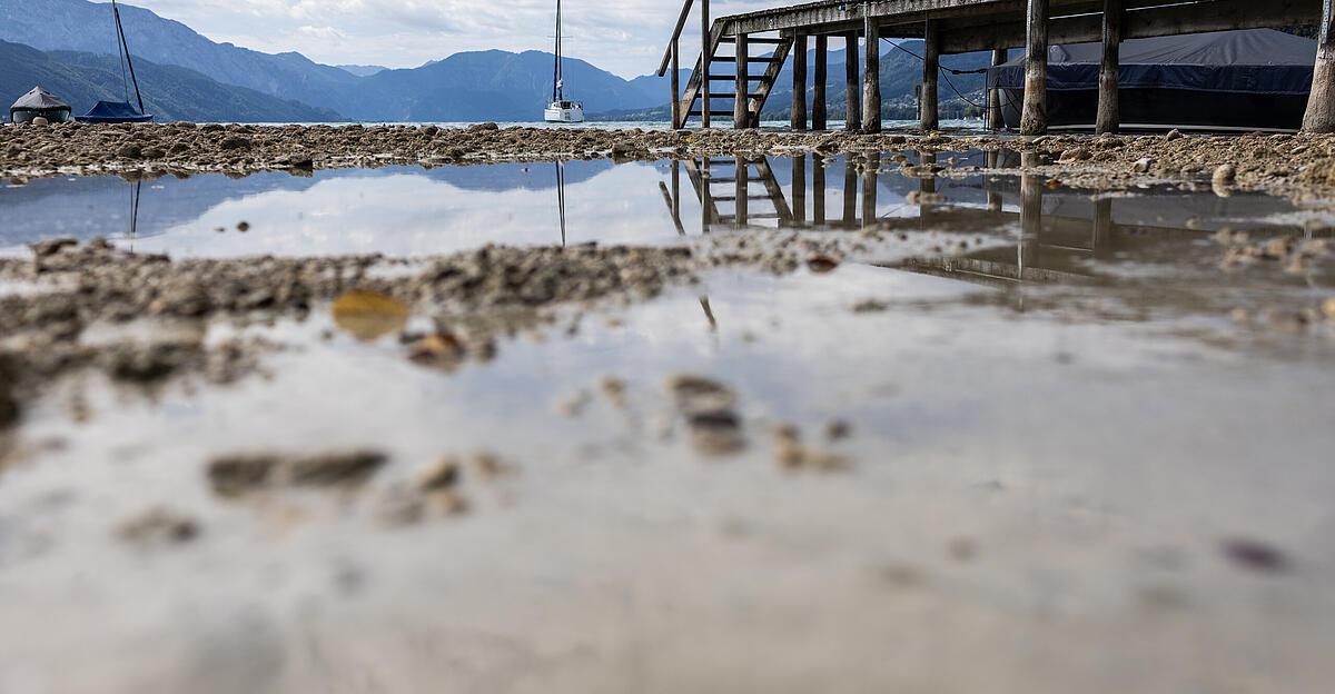 Extremsommer: Fast 1000 Hitzetote und historische Niedrigwasserpegel